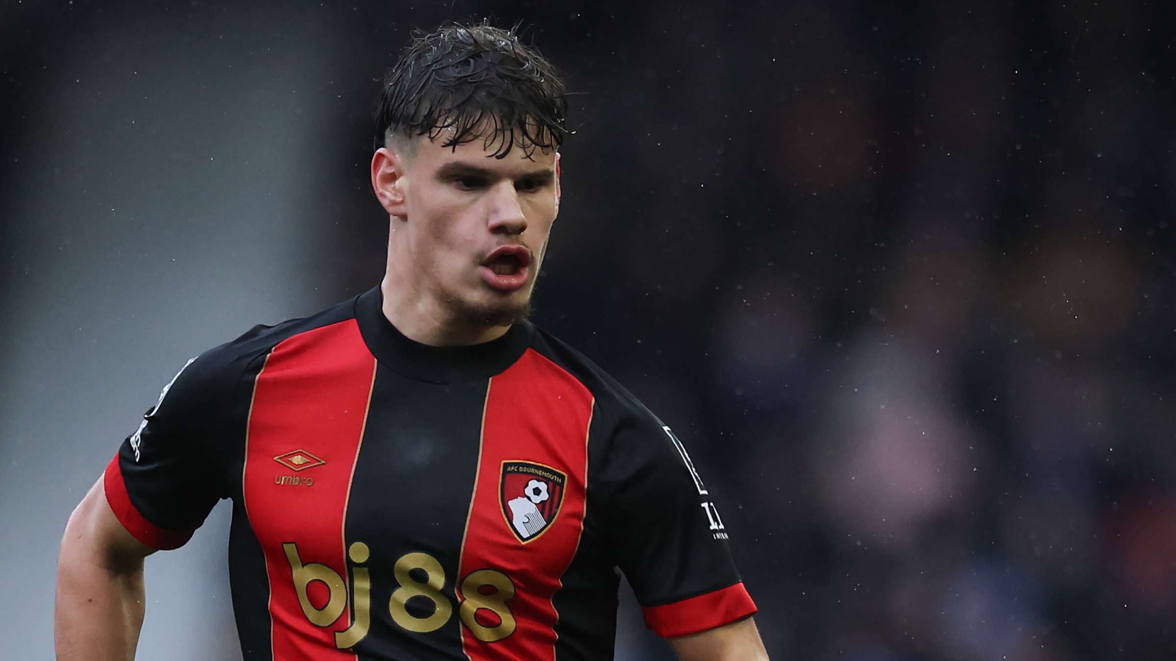 了高度期待 了高度期待