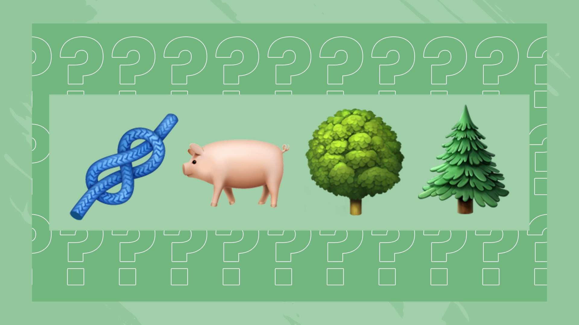 傳拜仁邀請阿隆索執教,勒沃庫森總監:傳言是成功的見證.